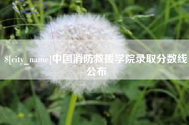 滑县中国消防救援学院录取分数线公布