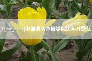 滑县中国消防救援学院历年分数线