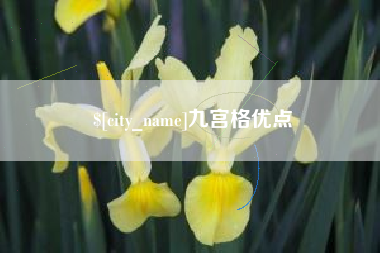 滑县九宫格优点