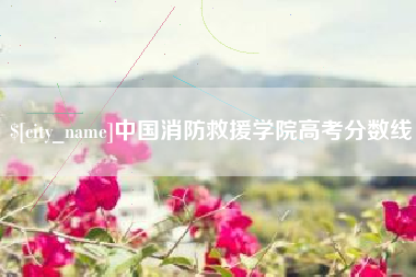 滑县中国消防救援学院高考分数线