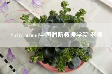 滑县中国消防救援学院 老师