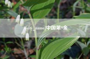 滑县中国第9金
