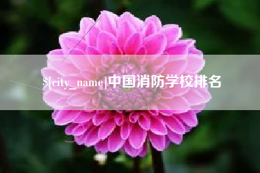 滑县中国消防学校排名