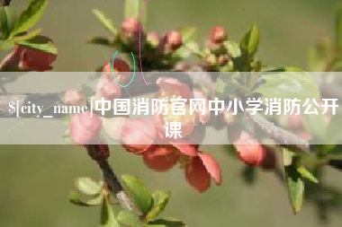 滑县中国消防官网中小学消防公开课