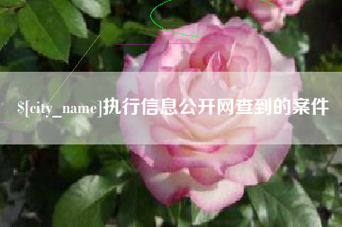 滑县执行信息公开网查到的案件