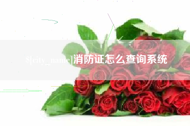 滑县消防证怎么查询系统