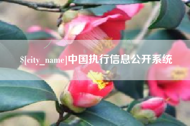 滑县中国执行信息公开系统