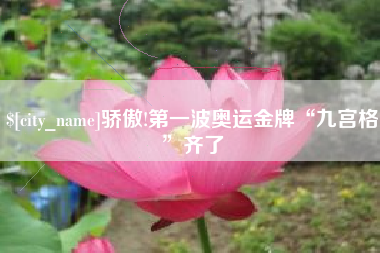滑县骄傲!第一波奥运金牌“九宫格”齐了
