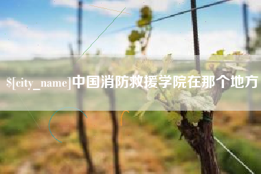 滑县中国消防救援学院在那个地方