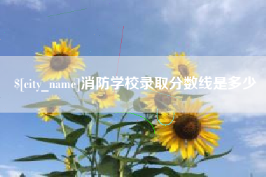 滑县消防学校录取分数线是多少