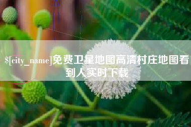 滑县免费卫星地图高清村庄地图看到人实时下载