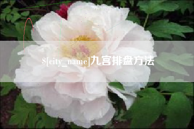 滑县九宫排盘方法