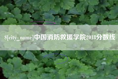 滑县中国消防救援学院2018分数线