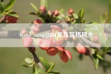 滑县2021年九宫格风水