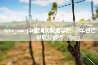 滑县中国消防救援学院2020年各省录取分数线