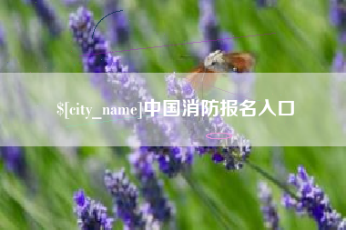 滑县中国消防报名入口
