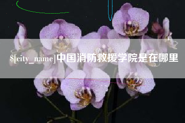 滑县中国消防救援学院是在哪里