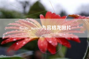 滑县九宫格龙图片