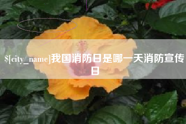 滑县我国消防日是哪一天消防宣传日