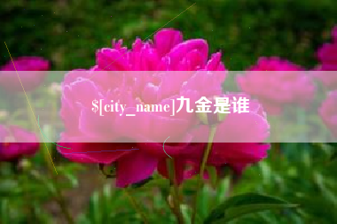 滑县九金是谁
