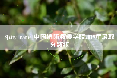 滑县中国消防救援学院2019年录取分数线