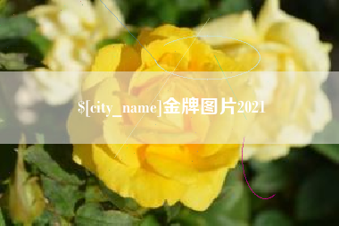 滑县金牌图片2021
