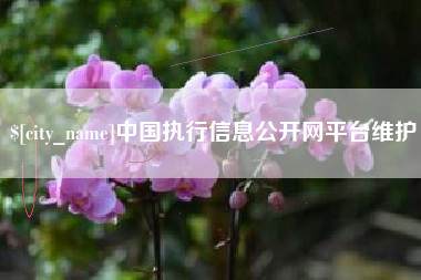 滑县中国执行信息公开网平台维护