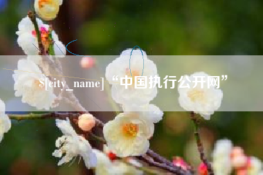 滑县“中国执行公开网”