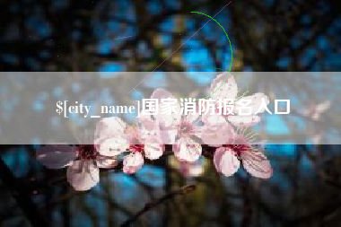 滑县国家消防报名入口
