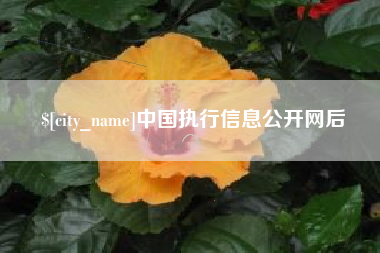 滑县中国执行信息公开网后