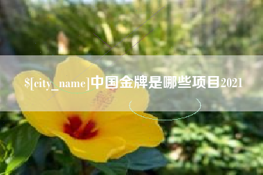 滑县中国金牌是哪些项目2021
