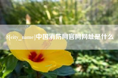 滑县中国消防网官网网址是什么