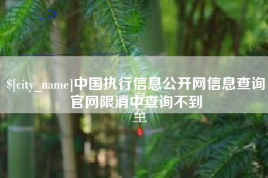 滑县中国执行信息公开网信息查询官网限消中查询不到
