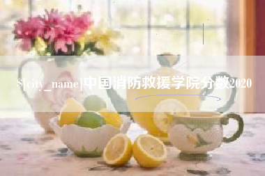 滑县中国消防救援学院分数2020