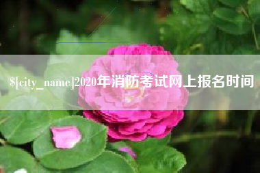 滑县2020年消防考试网上报名时间