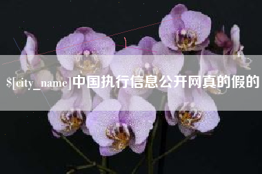 滑县中国执行信息公开网真的假的