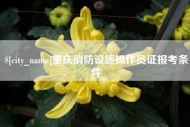 滑县重庆消防设施操作员证报考条件