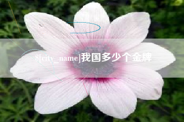 滑县我国多少个金牌
