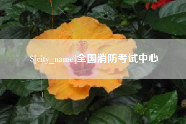 滑县全国消防考试中心