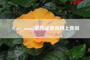 滑县消防证查询网上查询
