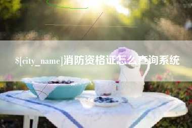 滑县消防资格证怎么查询系统