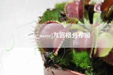 滑县九宫格分布图