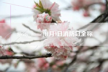 滑县11月9日消防日全称