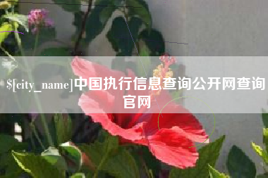 滑县中国执行信息查询公开网查询官网