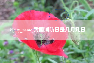 滑县我国消防日是几月几日
