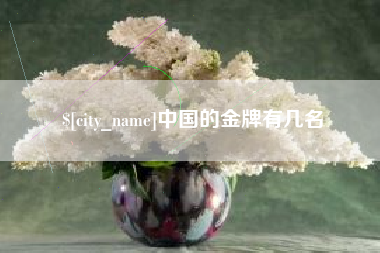 滑县中国的金牌有几名
