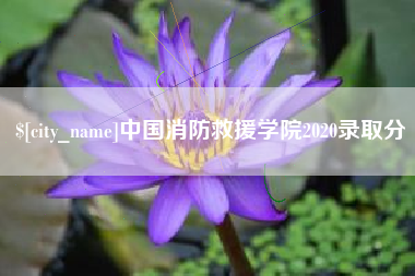 滑县中国消防救援学院2020录取分
