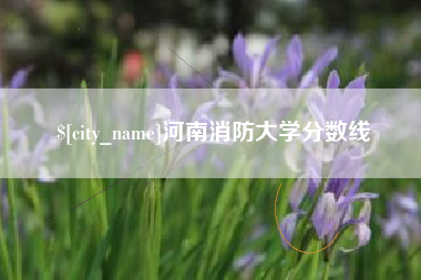 滑县河南消防大学分数线