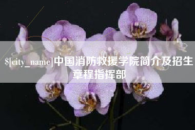 滑县中国消防救援学院简介及招生章程指挥部