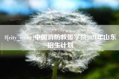 滑县中国消防救援学院2021年山东招生计划